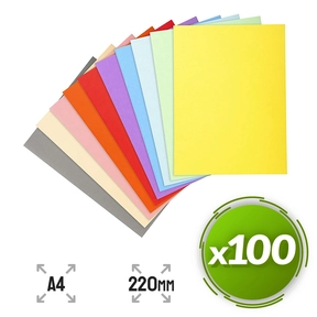 Subpasta Papelão Reciclado A4 220 g 100 uds Exacompta Cores Sortidas